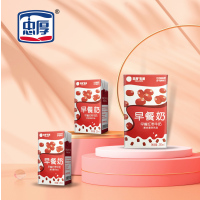 忠厚红枣口味早餐奶250mL*10复合蛋白饮品年货礼盒