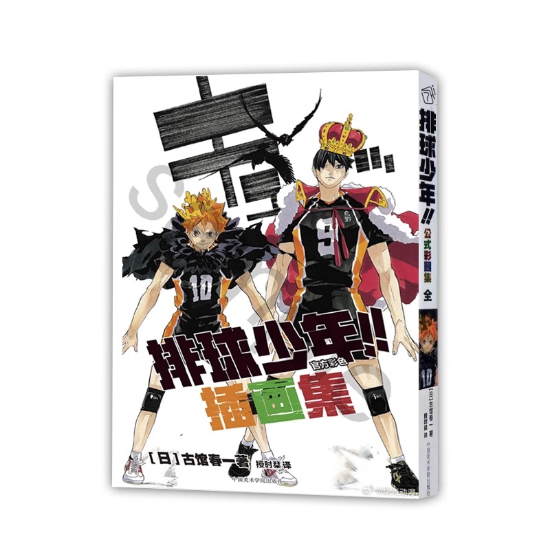 [正版] 排球少年全彩色插画集 简体中文 公式彩图插画集漫画 200张画稿 中国美术学院出版社 古馆春一高清大图