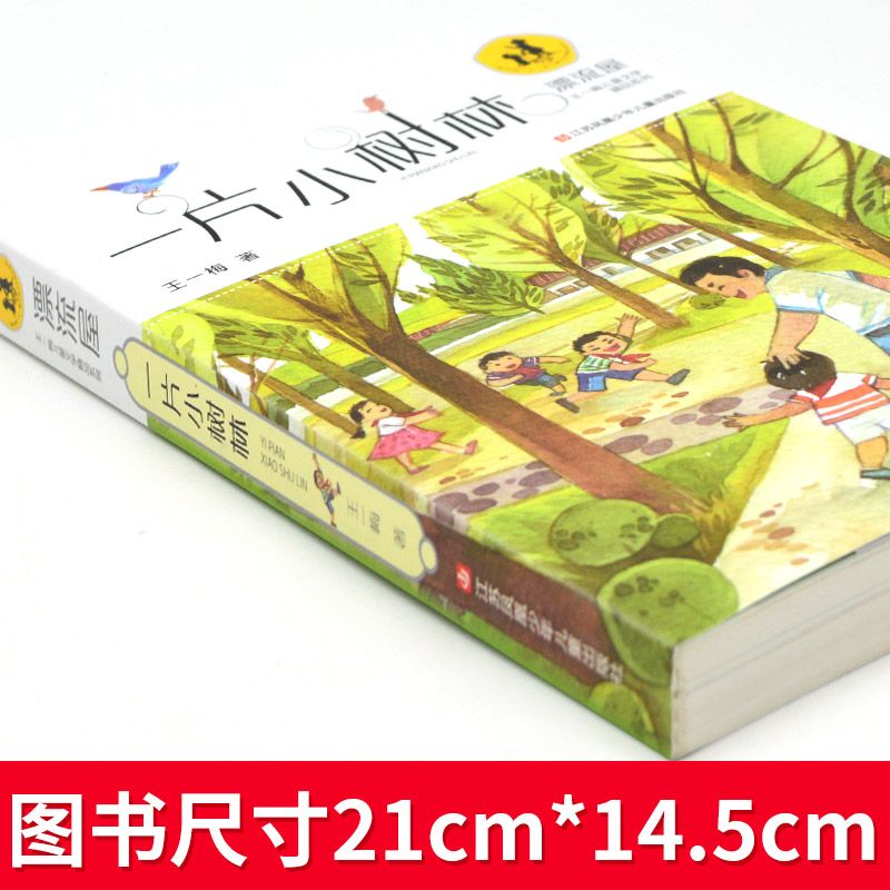少年小树之歌 [正版]一片小树林 漂流屋王一梅儿童文学系列 中小学生三四五六年级校园非阅读趣味治愈童年课外书儿童爱上学习高清大图