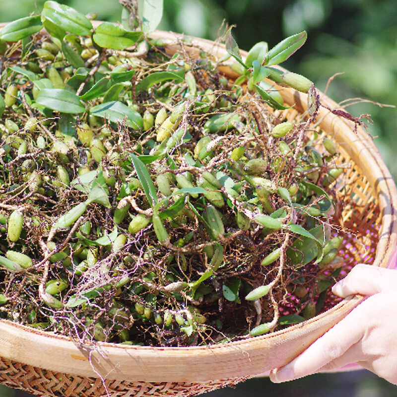 博多客新鲜石橄榄双叶石仙桃果石豆兰500g新鲜石橄榄珠岩豆生鲜新鲜