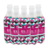 延中 盐究一下 荔枝味 茶卡盐轻矿气泡水 470ml *5瓶装