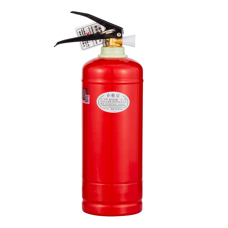 神龙 灭火器 干粉灭火器1公斤 车载家用灭火器1kg MFZ/ABC1