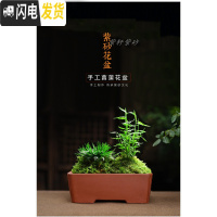 三维工匠紫砂素盆光面小花盆马长方形多肉六方四方阳台盆栽盆景肉肉菖蒲 素46 中等花盆容器