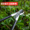 得力(deli) DL580322树枝剪