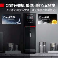 德玛仕DEMASHI商用开水器开水机奶茶店全自动步进式开水器电热烧水器炉热水机KW-30H8-2C
