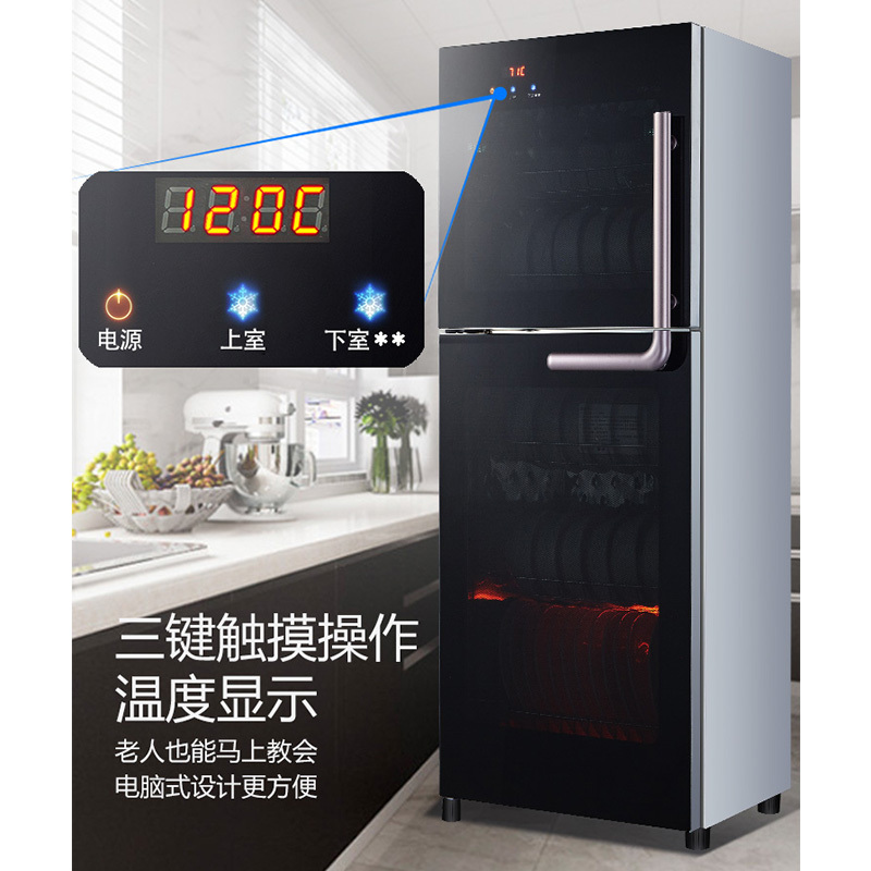 万红(wanhong) 立式消毒柜ZTP198-H39升高温二星级家用小型碗筷餐具家用厨房消毒碗柜