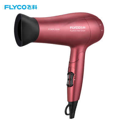 飞科 FLYCO 电吹风FH6218 2000W大功率负离子双重防过热保护健康柔风六档变速控温可折叠家用吹风机