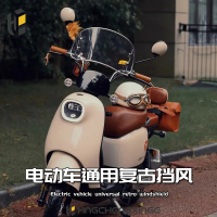 闪电客电瓶车挡风板雅迪dq6冠能台铃绿源小牛爱玛晴天九号电动复古装饰