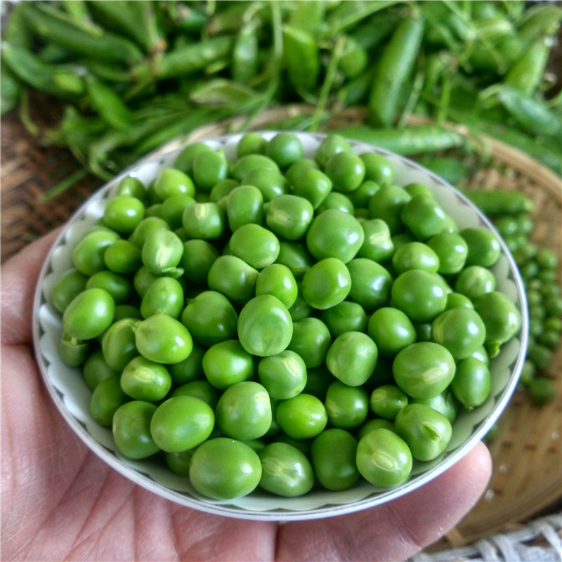 新鲜豌豆 带壳嫩青豆荚甜豆 生鲜蔬菜 2500g