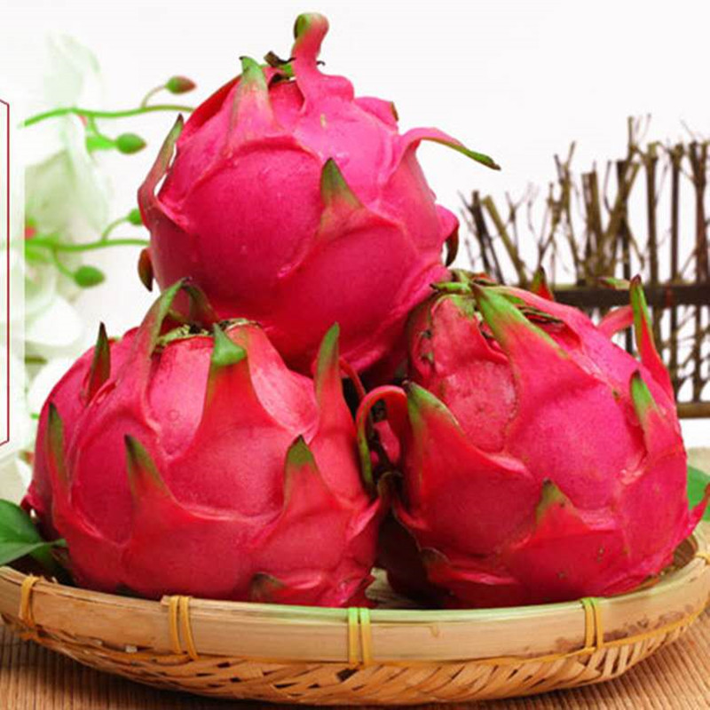 鲜贝达火龙果