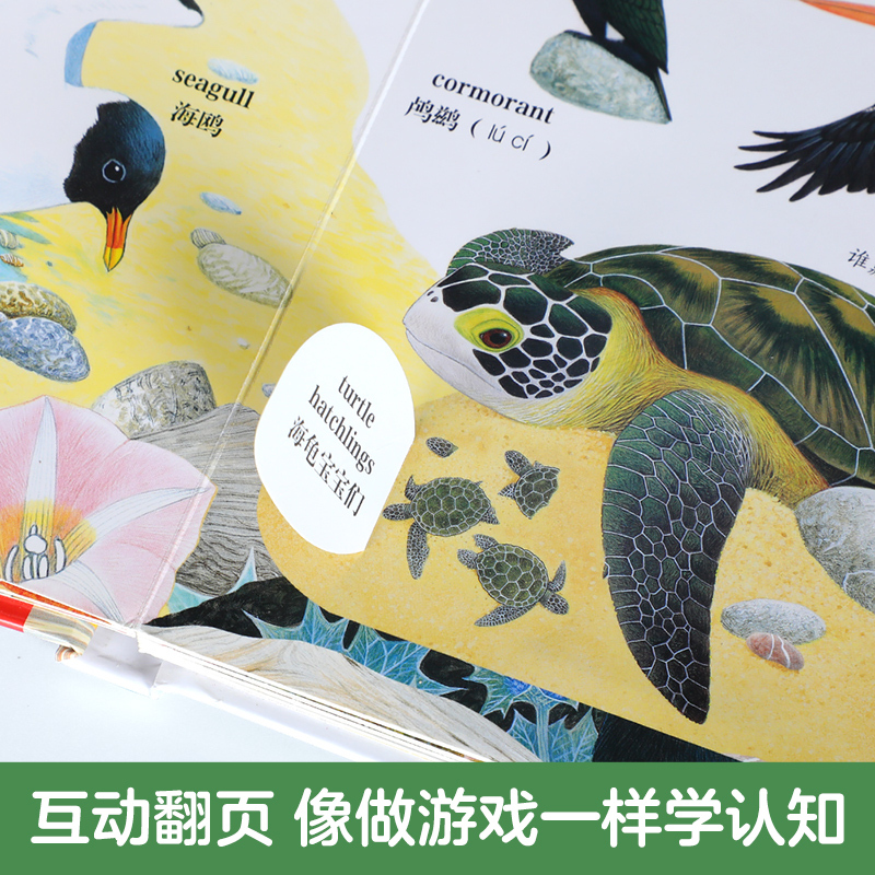 海洋动物 [正版] 绘本宝宝0-3岁翻翻动物朋友早教认知书中英双语启蒙学前低幼幼儿园亲子洞洞机关感官触摸一岁半儿童婴儿