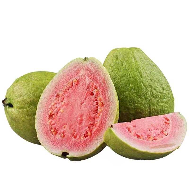 鲜贝达 红心芭乐5斤装[单果120g以上]新鲜水果番石榴热带水果甘甜多汁高清大图