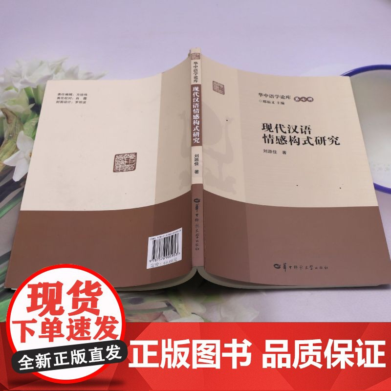 现代汉语情感构式研究