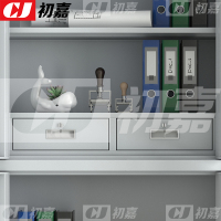 初嘉(CJ) CJ4102408 保密柜文件柜钢制密码柜办公铁皮资料柜档案柜 常规通双节智能指纹锁