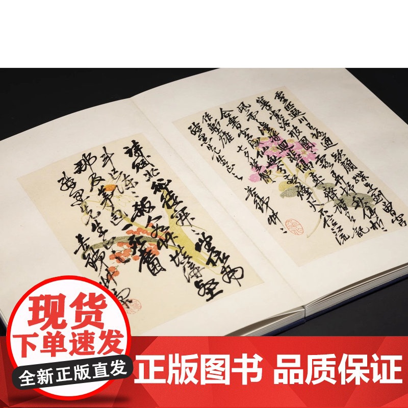 吴昌硕诗札册 戴丛洁 诸正昊 编 精装本典藏本 秋水斋金石丛刊吴昌硕手札书信手稿行书札毛笔书法字帖收藏墨迹书 西泠印社出高清大图