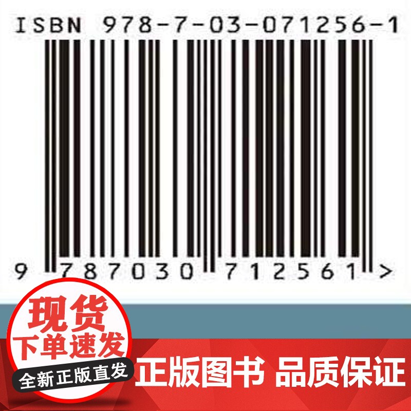 [按需印刷]我国产业链安全战略研究高清大图
