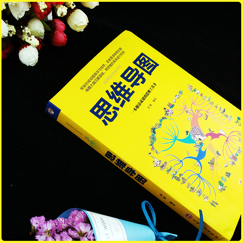 [正版]思维解码-思维导图思维导图系列训练逻辑思维逻辑学科普百科哲学帮你提高学习效率联想创意思维解码LK高清大图