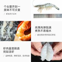 超大黑虎虾整盒新鲜海捕大虾海虾老虎虾冻虾草虾 (中号)毛重500/盒 22-24只 1盒装