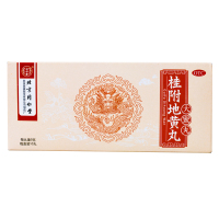 同仁堂 桂附地黄丸 9克*10丸