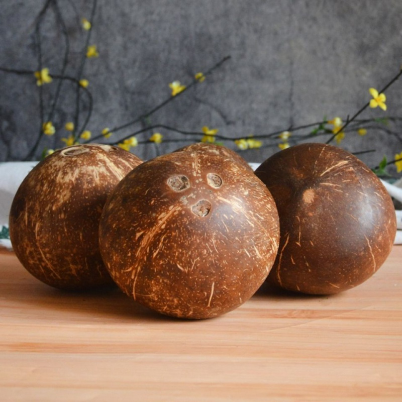 [西沛生鲜]海南黑椰皇 4个装 单果550-950g 新鲜椰子 当季热带水果 汁水充沛高清大图