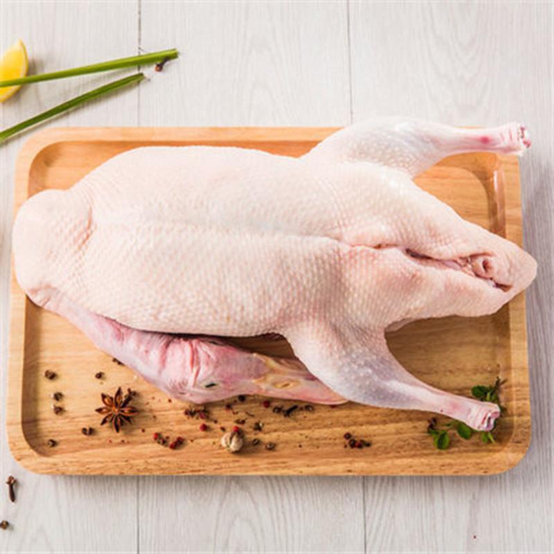 鸭子一只两斤以上生鲜鸭肉整只鸭肉新鲜鸭子老鸭麻鸭批发零售 鲜鸭两只装(每只2-2.5斤左右)