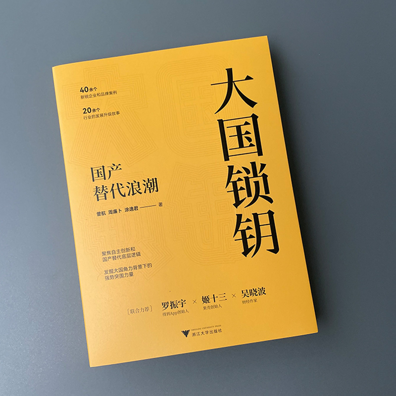 [正版]大国锁钥 国产替代浪潮 总结自主创新 国产替代产业规律 展现客观 真实的中国制造蜕变之路 经济通俗读物 书籍高清大图