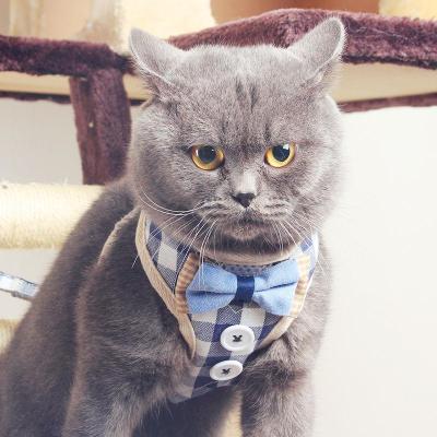 猫咪牵引绳猫绳子遛猫绳胸背带防挣脱栓猫绳背心式幼猫链子溜猫绳