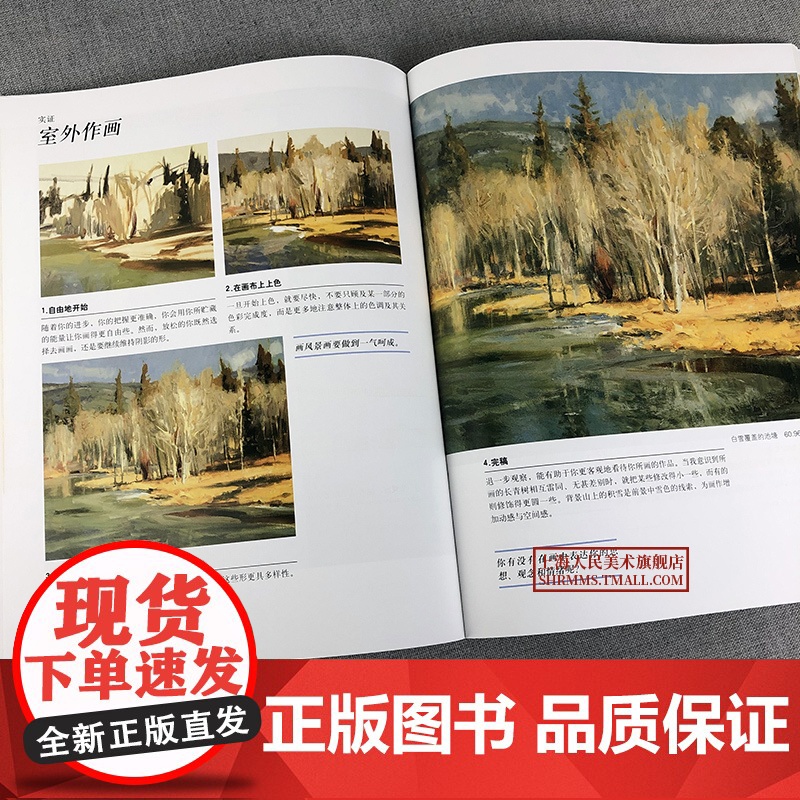 油画的光与色 经典版 风景静物油画写生创作速写光影色彩绘画技法教学大师作品临摹油画初学入门基础油画大师自学课教程教材书籍高清大图
