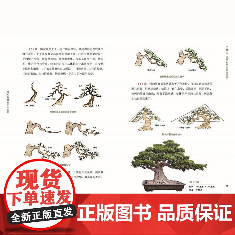 [店]树木盆景制作全图解 盆景树木、制作造型、养护、原生桩材、腹稿打样、欣赏高清大图