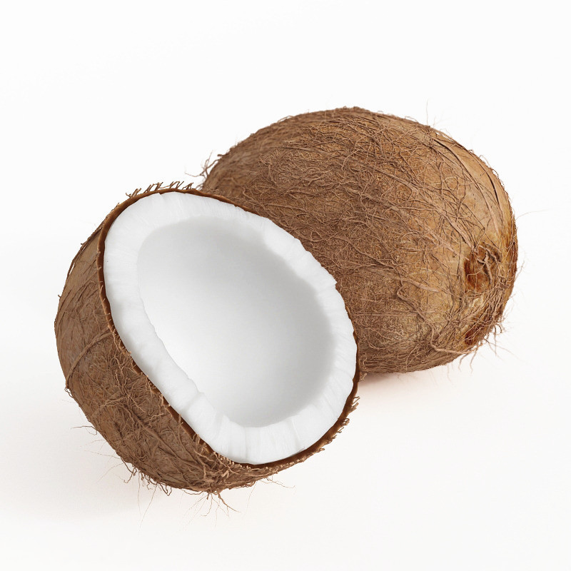 一贤生鲜海南毛椰子热带特产老椰子4个装新鲜水果产地直发西沛