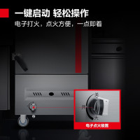 德玛仕(DEMASHI)燃气蒸饭柜商用 食堂蒸柜蒸饭车 工程定制款 10盘SZXT20B-100T [天然气/液化气]