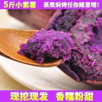 [中华特色]徐州馆 快挑食 新鲜农家小紫薯带箱2.5斤装 番薯地瓜 香薯紫芋头山芋 华东