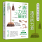 [醉染正版]正版 清洁的力量 创造有序的高能量空间 琳达 托马斯日常生活百科家庭用书清洁打扫卫生整理书带着爱与觉察每