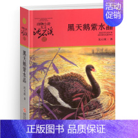 黑天鹅紫水晶 [正版]双面猎犬沈石溪小学四年级五年级全集全套书浙江少年儿童出版社非注音版完整版动物小说大王品藏书系小学生