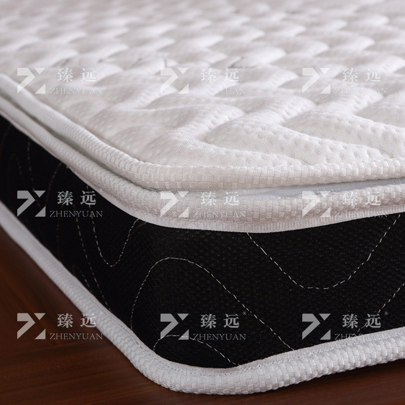 臻远 ZY-ML-M0204 3E椰棕床垫 1500*2000 白色