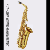 雅马哈(YAMAHA)新款正品哈萨克斯风875EX降E调中音萨克斯初学者儿童考级专业