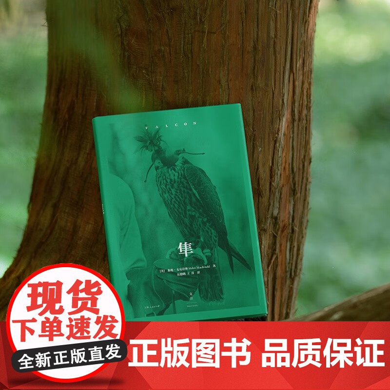 隼 海伦·麦克唐纳 著 外国文学高清大图