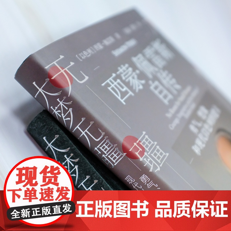 大梦无疆 西蒙佩雷斯自传 勇气、想象和现代以色列的建立 重大历史事件 人物传记 以色列中东历史 上海译文出版社高清大图