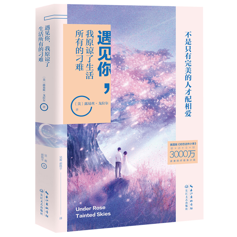 遇见你 我原谅了生活所有的刁难 爸爸是只狗 1著 摘要书评在线阅读 苏宁易购图书