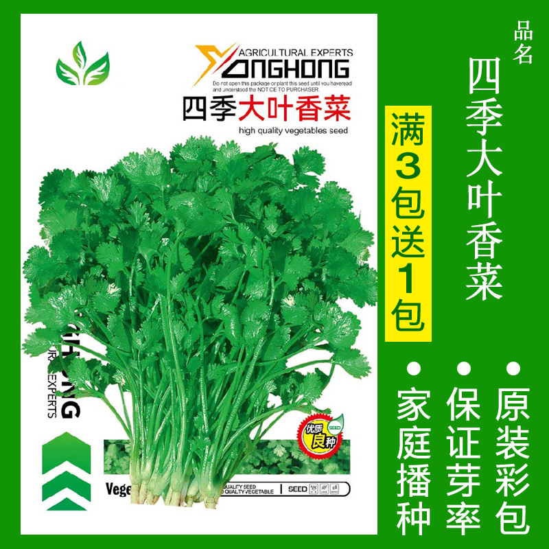 【补贴10%】8424麒麟无籽美都西瓜种籽大全种子水果瓜小南方蔬菜苗秧种孑阳台 四季大叶香菜约1000粒 均码