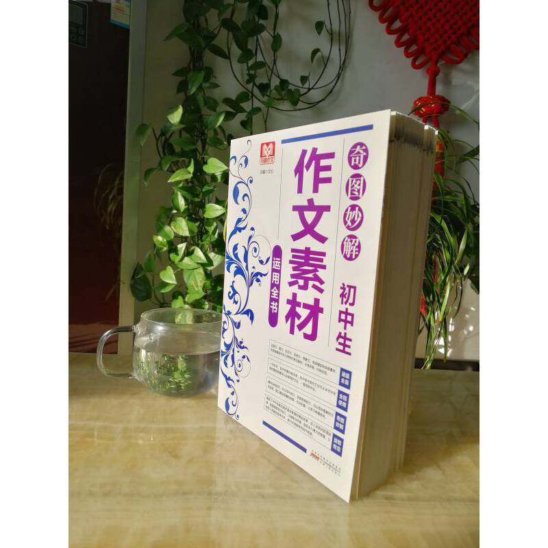 通用技术 [正版]书籍奇图妙解 初中生作文素材运用全书