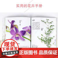 花颜花语 197种实用的四季花卉手册和花语图鉴 花艺书籍诞生花星座守护花花图鉴花店花养花花语植物图鉴大全书明信片宇田川佳