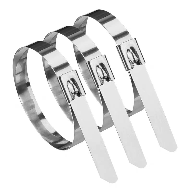 盛京联硕 304不锈钢扎带4.6×250mm根高清大图