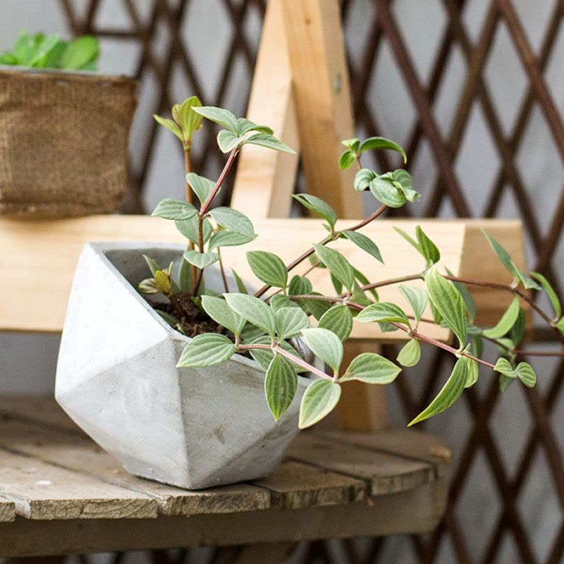 家柏饰(CORATED)多面体几何混凝土花盆花器花篮现代简约花园装饰桌面装饰 B小圆矮柱 中图片