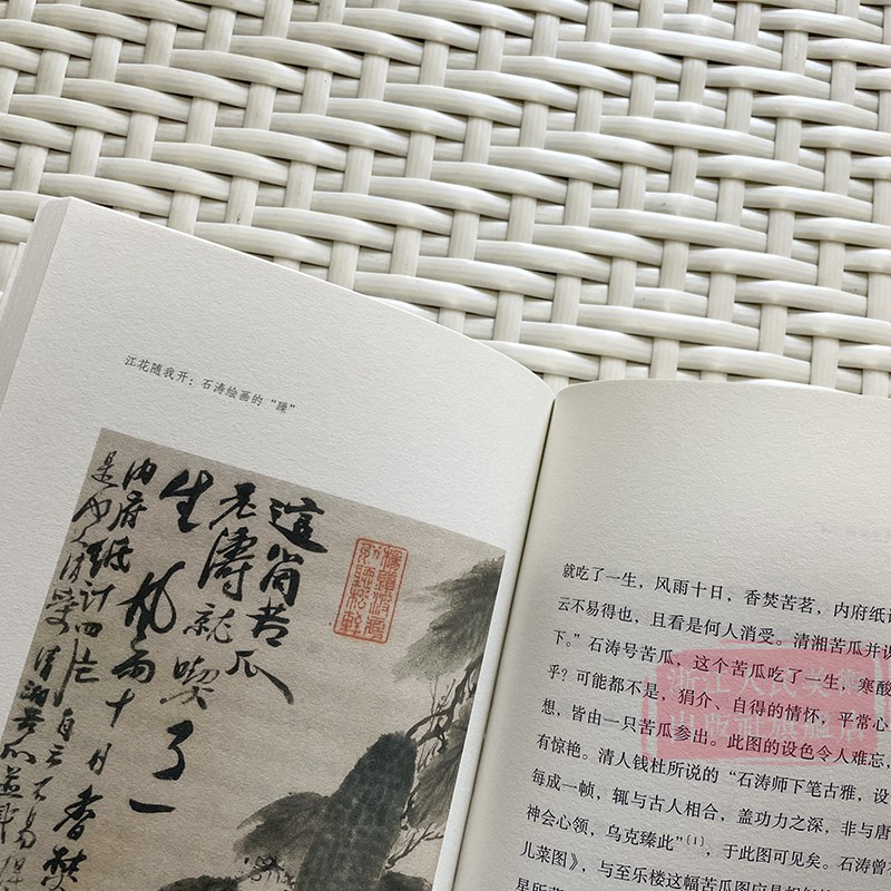 [正版]江花随我开:石涛绘画的“躁” 了解中国古代文人画读物 朱良志著 中国画美术理论评论艺术历史绘画解析注释文学鉴赏高清大图