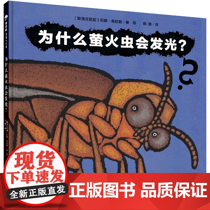 为什么萤火虫会发光精装绘本图画书3-6岁亲子共读脑洞大开的提问科学幽默的回答温馨生动的自然教育小课堂魔法象正版