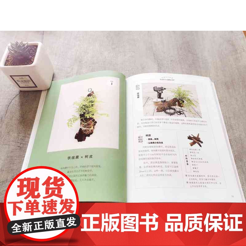 绿植风格墙:用板植打造壁面花园 作者:花草游戏编辑 部、苔哥著高清大图