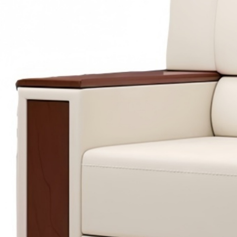 乐琪艺 会议沙发 单人位 张高清大图