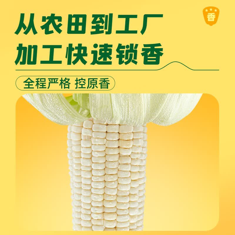 十月稻田(SHIYUEDAOTIAN) 白糯玉米2.08kg 真空包装 东北甜粘玉米棒 颗粒饱满 皮薄肉嫩 黏糯清甜高清大图
