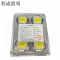 利成照明 集成光源 100W